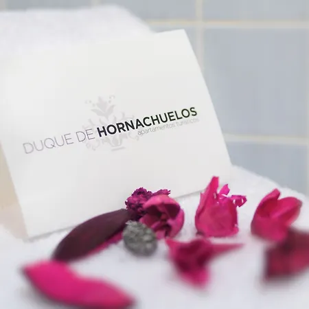 דירה Turisticos Duque De Hornachuelos קורדובה